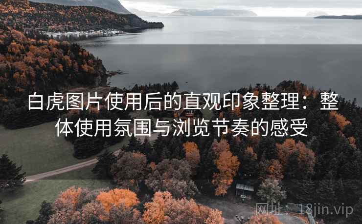 白虎图片使用后的直观印象整理：整体使用氛围与浏览节奏的感受  第1张