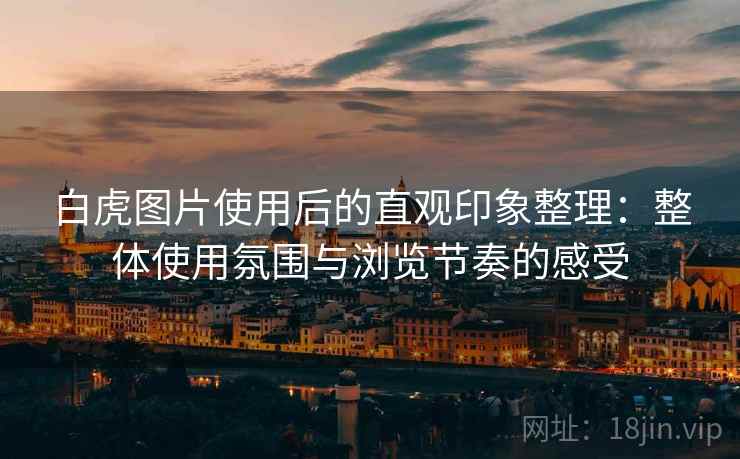白虎图片使用后的直观印象整理：整体使用氛围与浏览节奏的感受  第2张