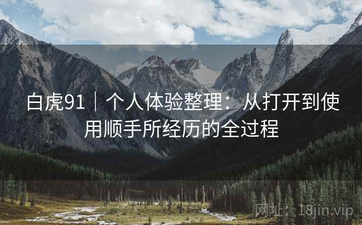 白虎91｜个人体验整理：从打开到使用顺手所经历的全过程  第2张