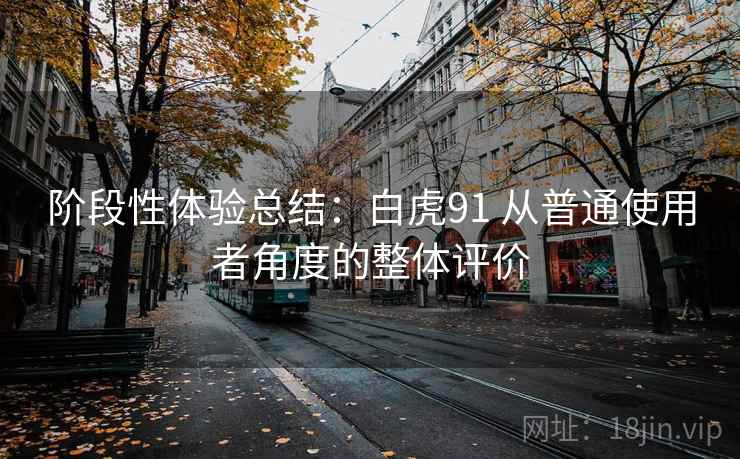 阶段性体验总结：白虎91 从普通使用者角度的整体评价  第2张