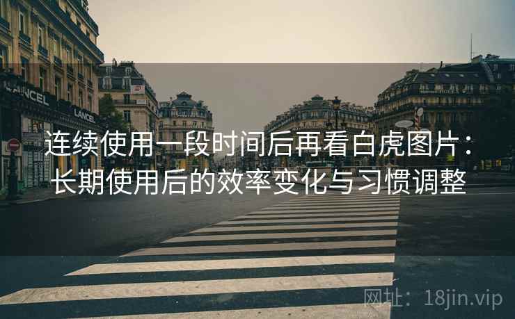 连续使用一段时间后再看白虎图片:长期使用后的效率变化与习惯调整 第2张 连续使用一段时间后再看白虎图片:长期使用后的效率变化与习惯调整 第2张
