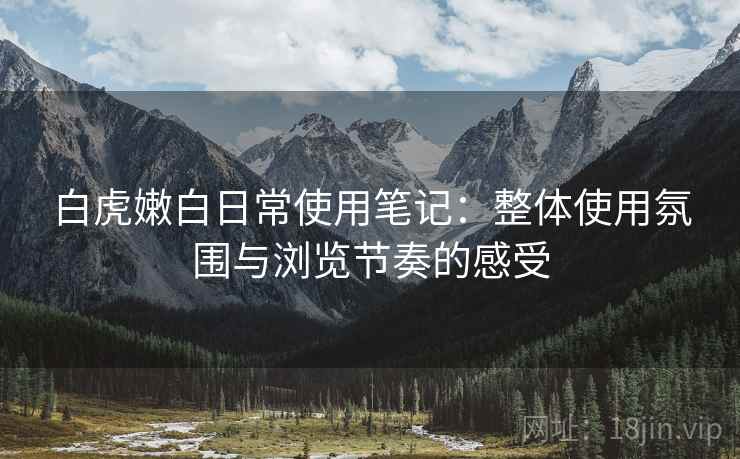 白虎嫩白日常使用笔记：整体使用氛围与浏览节奏的感受  第2张