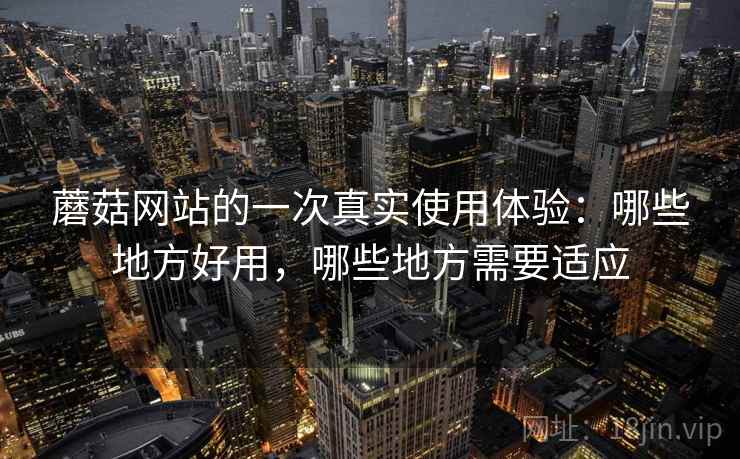 蘑菇网站的一次真实使用体验：哪些地方好用，哪些地方需要适应  第1张