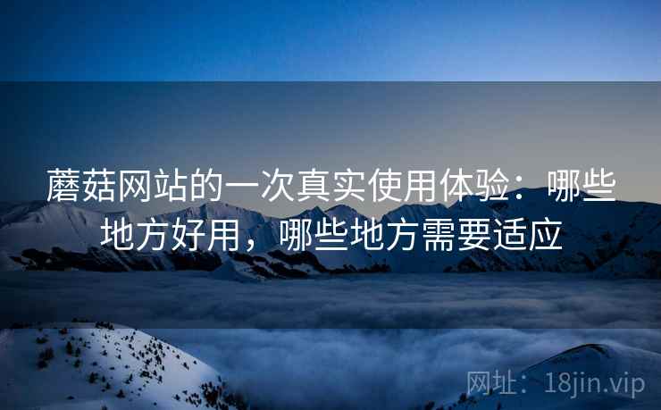 蘑菇网站的一次真实使用体验：哪些地方好用，哪些地方需要适应  第2张