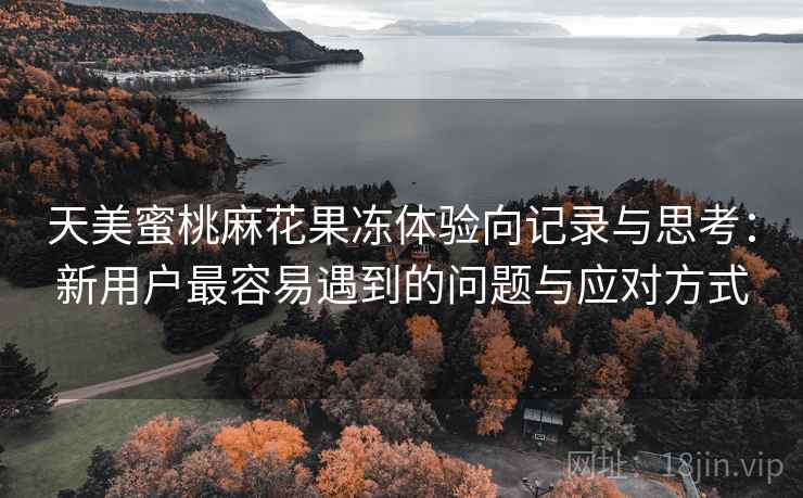 天美蜜桃麻花果冻体验向记录与思考：新用户最容易遇到的问题与应对方式  第1张