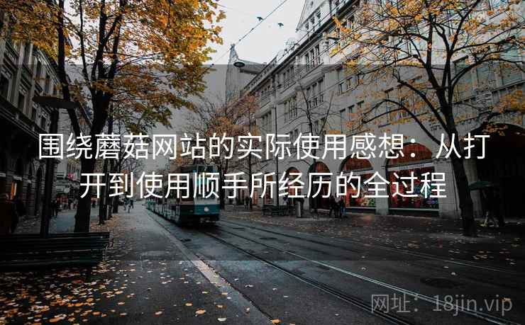 围绕蘑菇网站的实际使用感想：从打开到使用顺手所经历的全过程  第1张