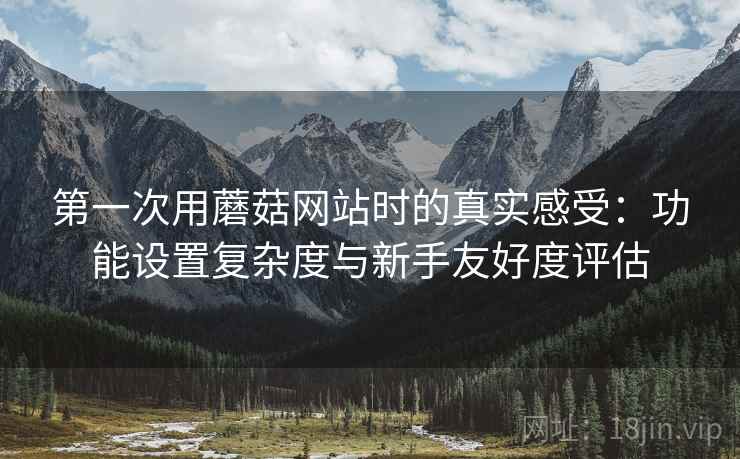 第一次用蘑菇网站时的真实感受：功能设置复杂度与新手友好度评估  第2张