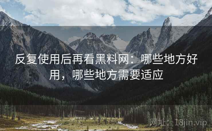 反复使用后再看黑料网:哪些地方好用,哪些地方需要适应 第2张 反复使用后再看黑料网:哪些地方好用,哪些地方需要适应 第2张