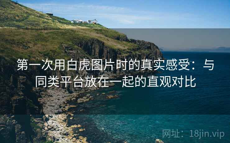 第一次用白虎图片时的真实感受:与同类平台放在一起的直观对比 第1张 第一次用白虎图片时的真实感受:与同类平台放在一起的直观对比 第1张