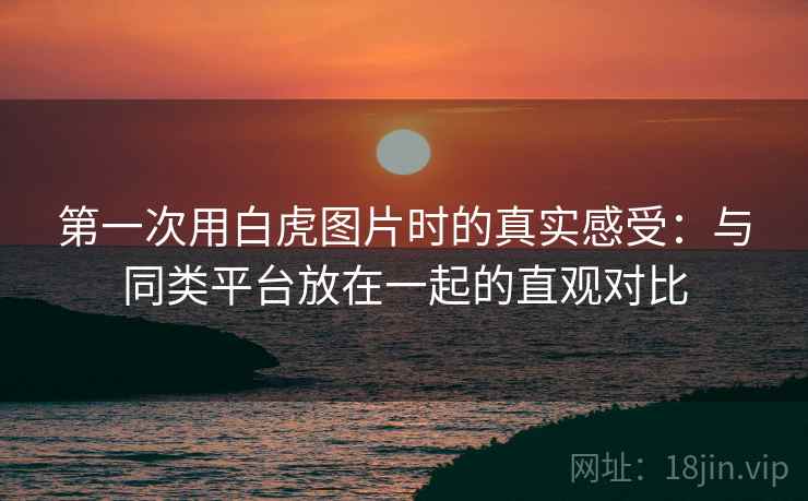 第一次用白虎图片时的真实感受:与同类平台放在一起的直观对比 第2张 第一次用白虎图片时的真实感受:与同类平台放在一起的直观对比 第2张